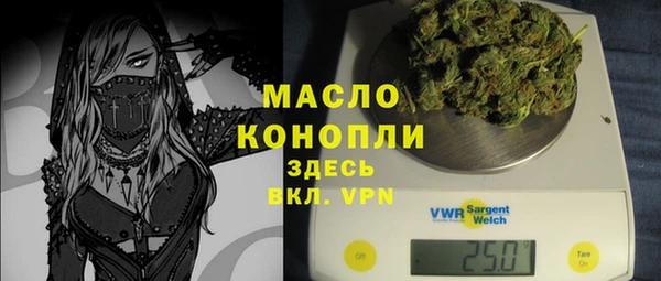 шишки Дмитров