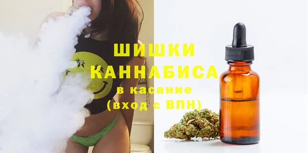 прущие крисы Дмитриев