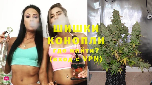 прущие крисы Дмитриев