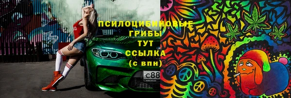 прущие крисы Дмитриев