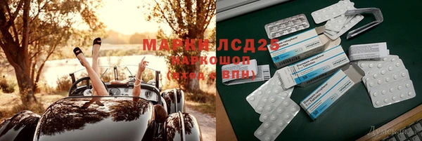 шишки Белая Холуница