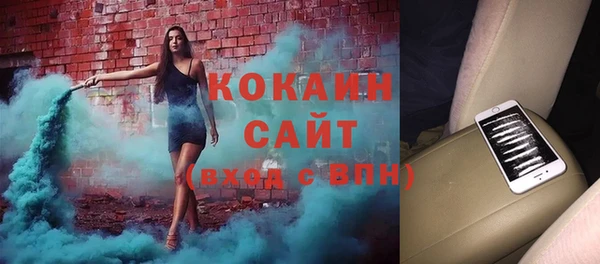 шишки Дмитров