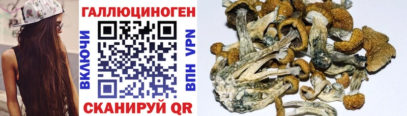 Галлюциногенные грибы Psilocybine cubensis  магазин  наркотиков  блэк спрут маркетплейс  Камышлов 